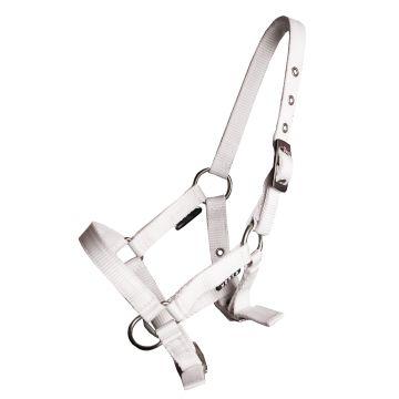 horka BASIC HALTER FOAL