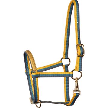 Harry's Horse Foal halter Azores Veulen Yellow