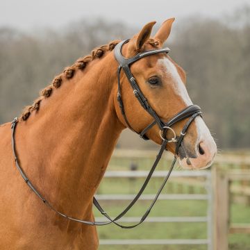 horka HEADSTALL CORONARY BAND
