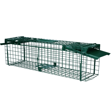 Knock Off walk-through trap