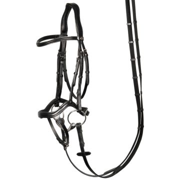 Harry's Horse Bridle Anatomic