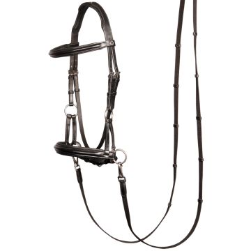 Harry's Horse Bridle Bitless Sidepull