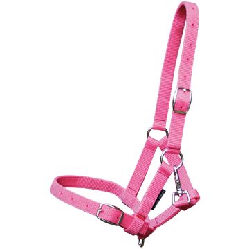 Harry's Horse Foal halter horse Full Veulen Pink