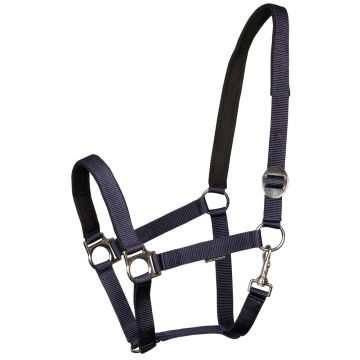 Harry's Horse Halter bridoonded Cob Navy