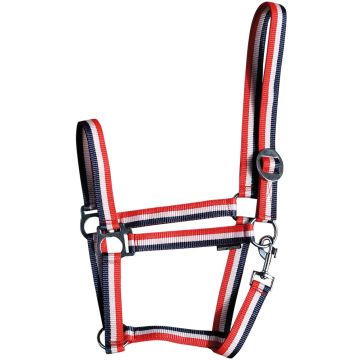 Harry's Horse Halter Economy Shetland Red / White / Blue