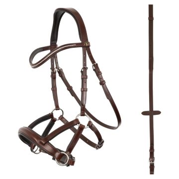 BR bridle Lewes "side & pull"