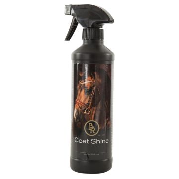 BR Gloss spray 500 ml