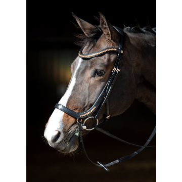 Harry's Horse Bridle Rosegold anatomic