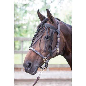 Harry's Horse fly fringe Full Black