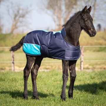 Harry's Horse Foal Blanket TwoTone One Size Navy