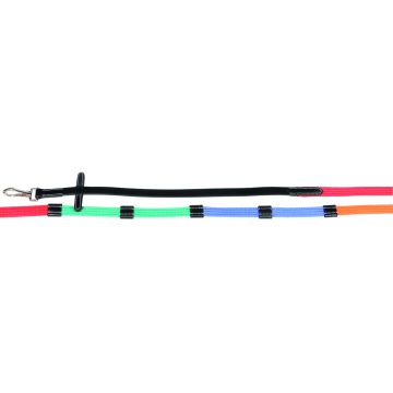 Harry's Horse Training reins, web strap Full Regenbogen