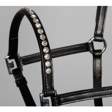 Harry's Horse Pony/foal halter crystal leather One Size Black