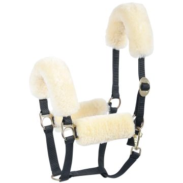 Harry's Horse Halter furs merino