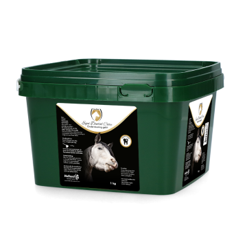 Excellent Equi Dental Care Bucket