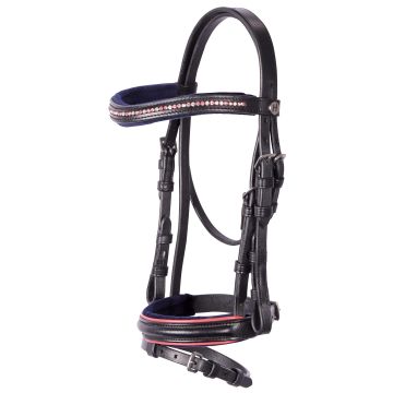 Harry's Horse Bridle Naughty! Coral