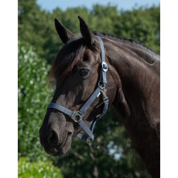 QHP halter slide