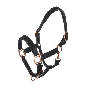 Leather Halters - Halter & Leads - SHETLAND PONY