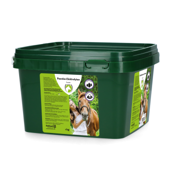 Excellent Horse Electrolytes Powder with B2 Bucket