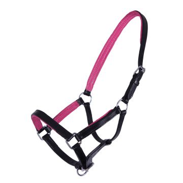 QHP Halter foal leather Spirit