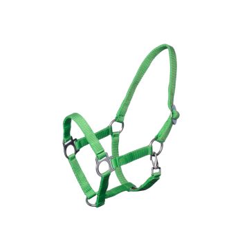 MHS Halter "Economic Neon" Extra Full Green