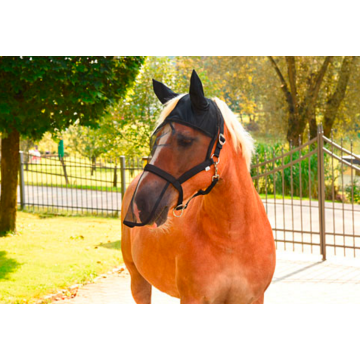 Excellent Fly halter/mask