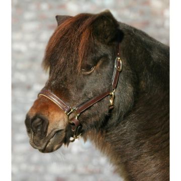 Waldhausen STAR leather halter Diamond