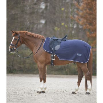 Waldhausen ECONOMIC fleece kidney rug
