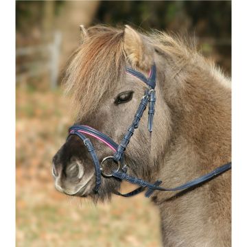 Waldhausen Bridle Unicorn 2