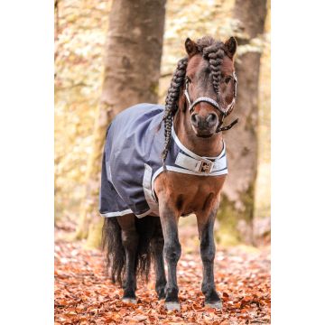 QHP Horse walker blanket waterproof unlined