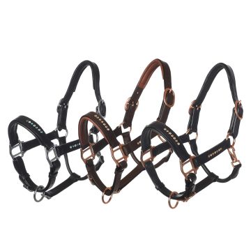 MHS Leather Halter "Sparkle"