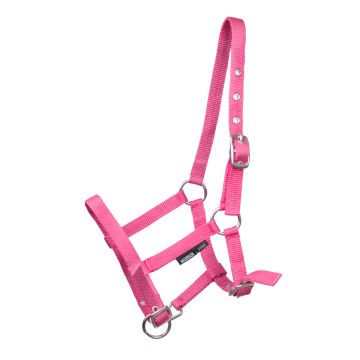 horka HALTER FOAL