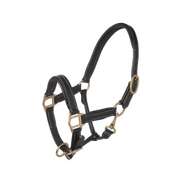 MHS Leather halter Luxury black / gold 1