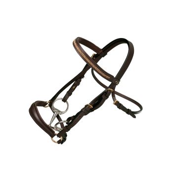 MHS Bridle Dragonfly