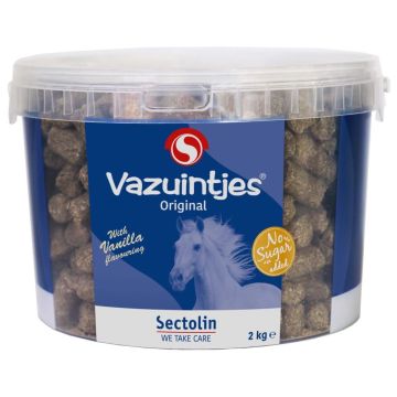 Sectolin Vases Original