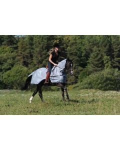 Driving Rugs Horse Rugs Above 165cm Horse