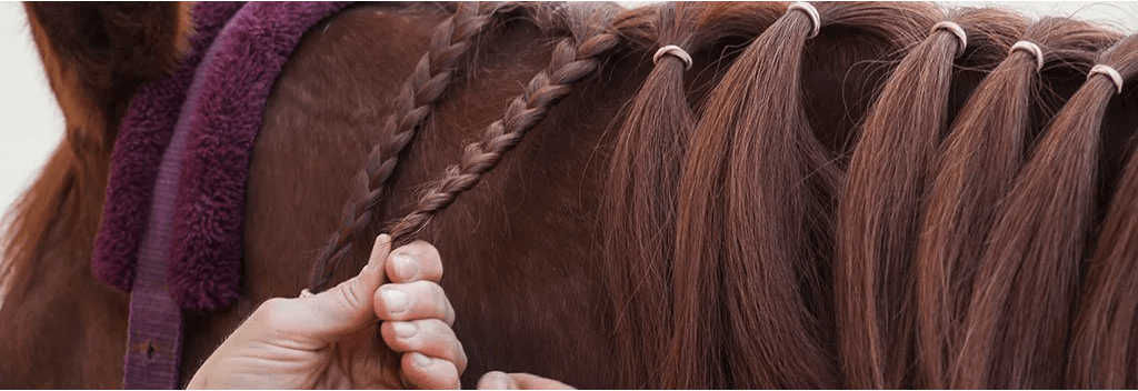 Braiding mane: this is how you braid the mane of your horse | MHS Equestrian