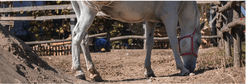 These problems can be caused by eating sand